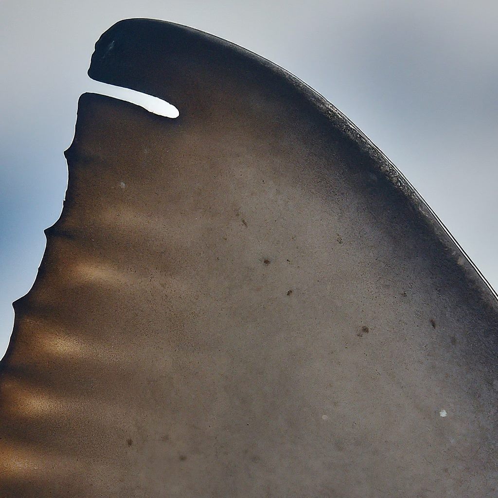 Notched Tip fin pattern