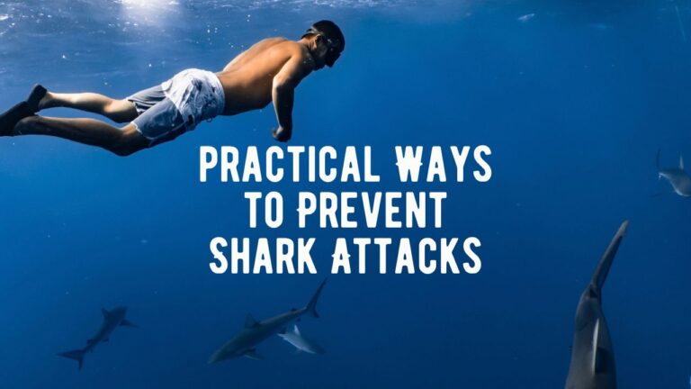 20 Ways to Prevent Shark Attacks - Shark Truth