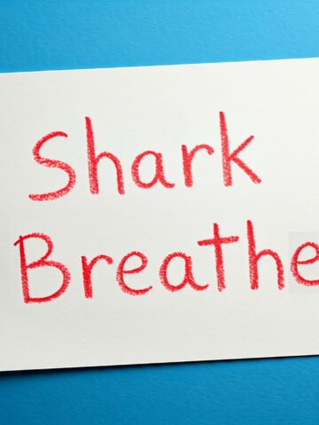 How Sharks Breathe