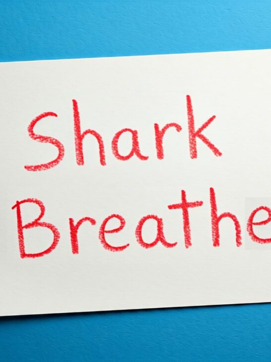 How Do Sharks Breathe: Shark Respiration Explained