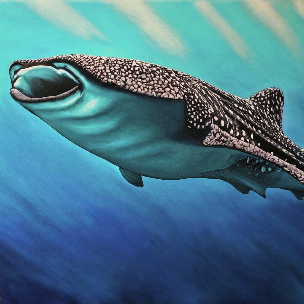 Whale Shark
